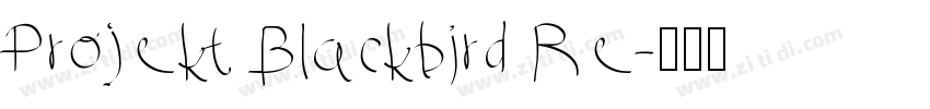 Projekt Blackbird Re字体转换